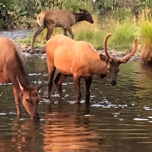 Meet your Posher, Shawn